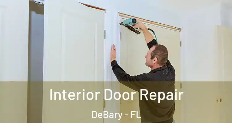 Interior Door Repair DeBary - FL