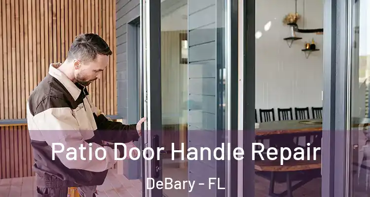 Patio Door Handle Repair DeBary - FL