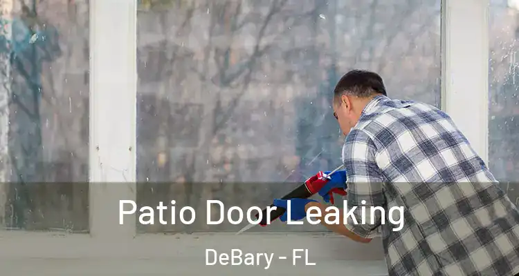  Patio Door Leaking DeBary - FL