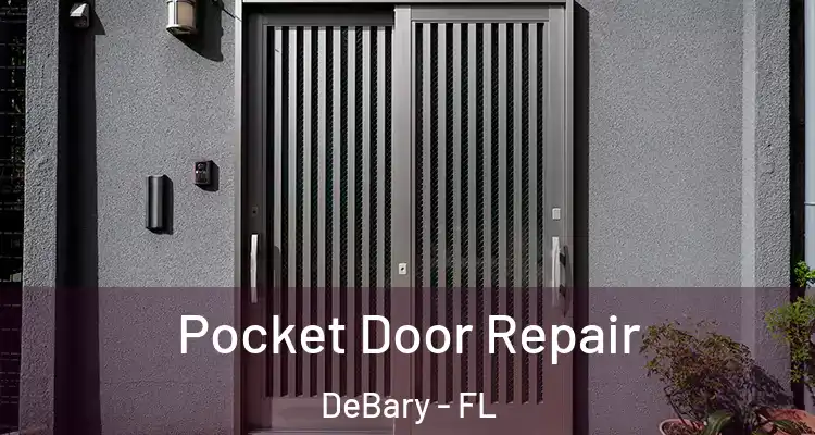 Pocket Door Repair DeBary - FL