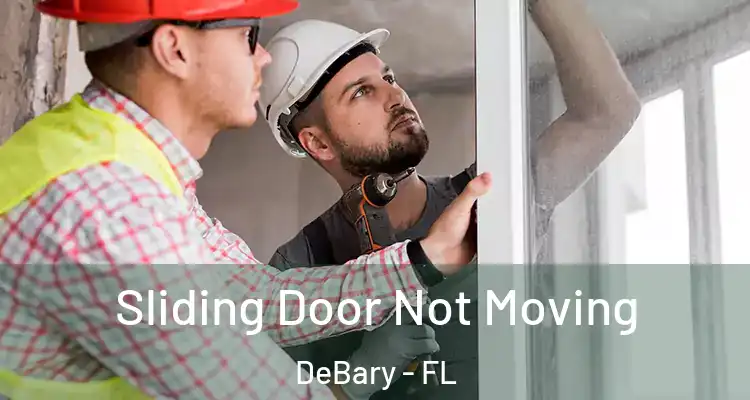  Sliding Door Not Moving DeBary - FL